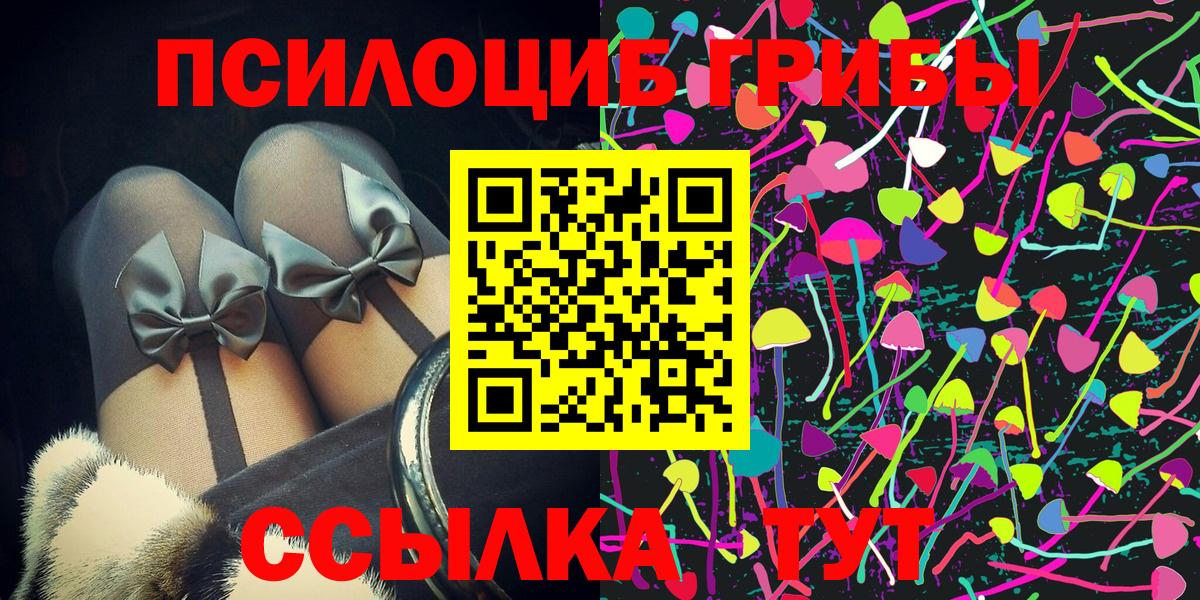 Саянск  Галлюциногенные грибы Psilocybe  Вход с VPN 